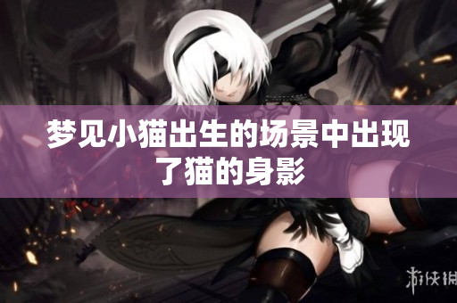 梦见小猫出生的场景中出现了猫的身影