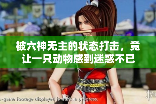 被六神无主的状态打击，竟让一只动物感到迷惑不已