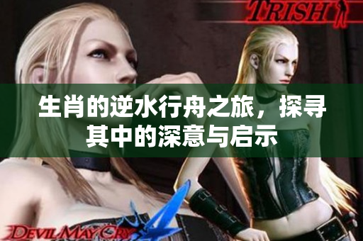 生肖的逆水行舟之旅，探寻其中的深意与启示