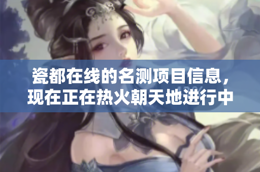 瓷都在线的名测项目信息，现在正在热火朝天地进行中