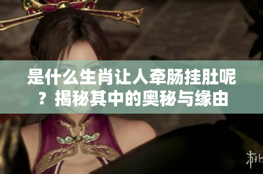 是什么生肖让人牵肠挂肚呢？揭秘其中的奥秘与缘由