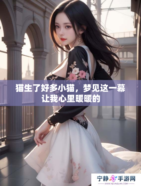猫生了好多小猫，梦见这一幕让我心里暖暖的