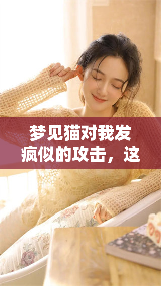 梦见猫对我发疯似的攻击，这究竟预示了什么呢