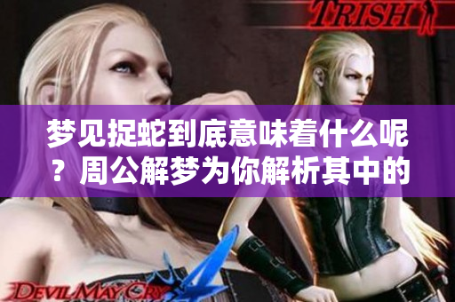 梦见捉蛇到底意味着什么呢？周公解梦为你解析其中的含义和象征。