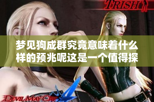 梦见狗成群究竟意味着什么样的预兆呢这是一个值得探讨的话题