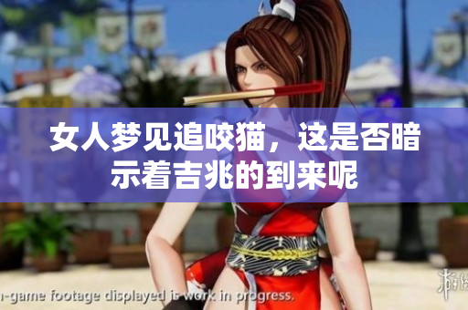 女人梦见追咬猫，这是否暗示着吉兆的到来呢