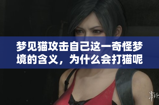 梦见猫攻击自己这一奇怪梦境的含义，为什么会打猫呢