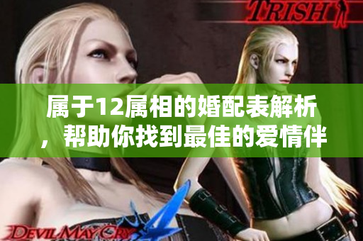 属于12属相的婚配表解析，帮助你找到最佳的爱情伴侣选择方法