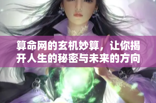 算命网的玄机妙算，让你揭开人生的秘密与未来的方向