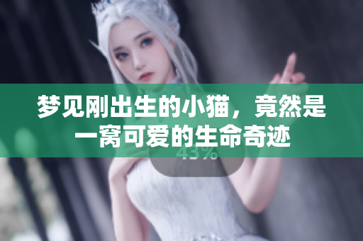 梦见刚出生的小猫，竟然是一窝可爱的生命奇迹