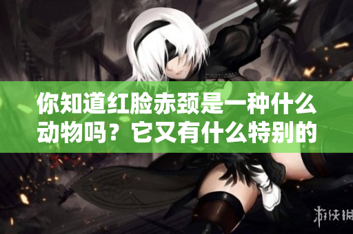 你知道红脸赤颈是一种什么动物吗？它又有什么特别的特点呢？