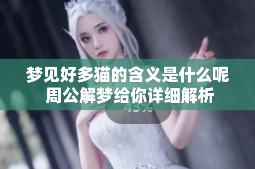 梦见好多猫的含义是什么呢 周公解梦给你详细解析