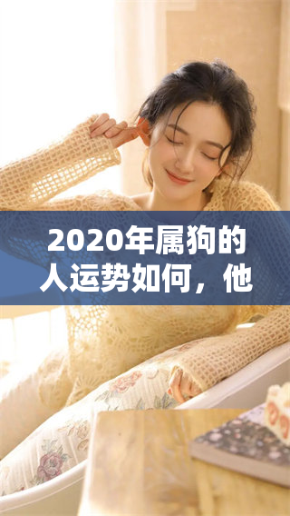 2020年属狗的人运势如何，他们的运程又会是怎样的呢